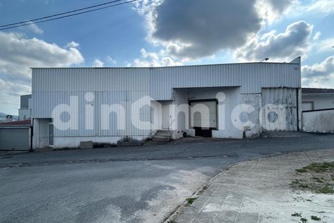 Erhvervsejendom i Ruivaes e Novais, Braga, Ruivaes e Novais - € 590.000 | Ref: 2096 - foto 7