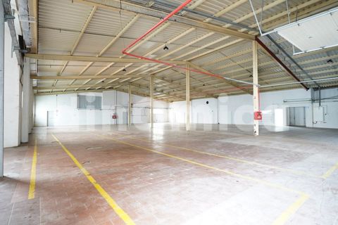 Erhvervsejendom i Ruivaes e Novais, Braga, Ruivaes e Novais - € 590.000 | Ref: 2096 - foto 37
