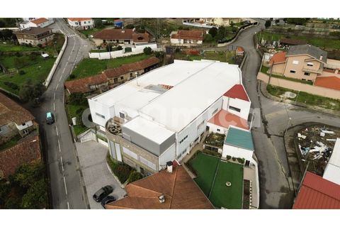 L'establiment comercial a Ruivaes e Novais, Braga, Ruivaes e Novais - € 590.000 | Ref: 2096 - foto 3