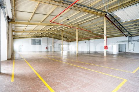 L'establiment comercial a Ruivaes e Novais, Braga, Ruivaes e Novais - € 590.000 | Ref: 2096 - foto 28