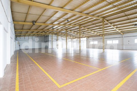 L'establiment comercial a Ruivaes e Novais, Braga, Ruivaes e Novais - € 590.000 | Ref: 2096 - foto 29