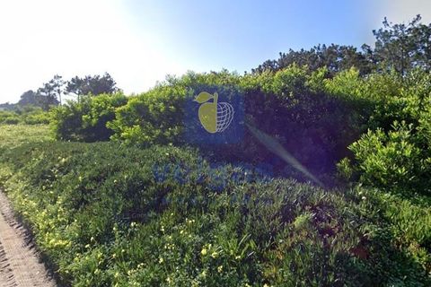 Helårsgrund i Torres Vedras, Lisbon, Torres Vedras - € 900.000 | Ref: CAL-217036 - foto 6