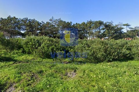 Helårsgrund i Torres Vedras, Lisbon, Torres Vedras - € 900.000 | Ref: CAL-217036 - foto 13