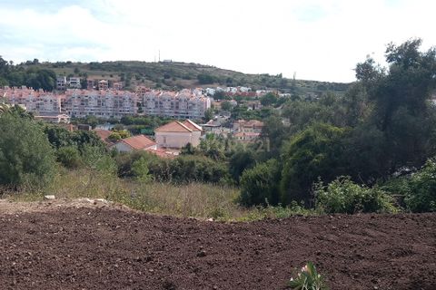 Helårsgrund i Oeiras, Lisbon, Oeiras - € 800.000 | Ref: C0246-02910 - foto 3