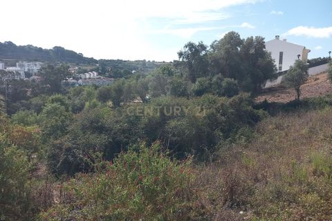 Helårsgrund i Oeiras, Lisbon, Oeiras - € 800.000 | Ref: C0246-02910 - foto 5