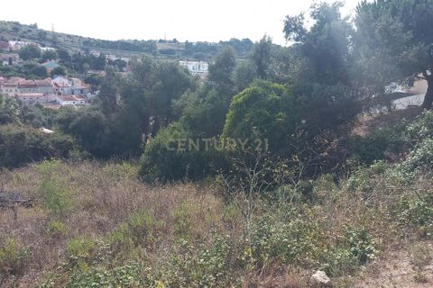 Helårsgrund i Oeiras, Lisbon, Oeiras - € 800.000 | Ref: C0246-02910 - foto 6