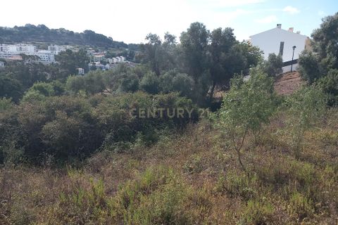 Helårsgrund i Oeiras, Lisbon, Oeiras - € 800.000 | Ref: C0246-02910 - foto 7