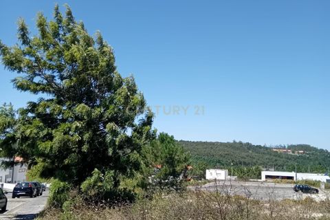 Helårsgrund i Obidos, Leiria, Obidos - € 105.000 | Ref: C0246-03101 - foto 7