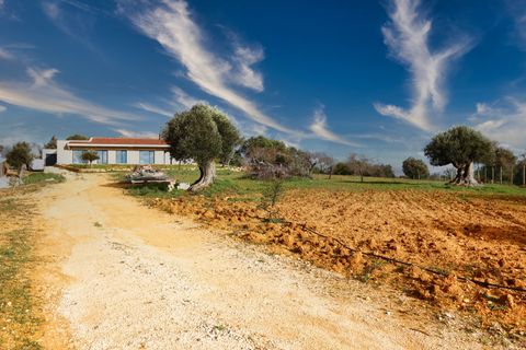 Villa i Silves, Faro, Silves - € 1.000.000 | Ref: VJM-1801 - foto 3