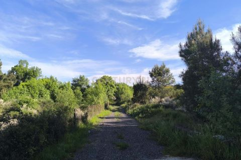 Villa i Chaves, Vila Real, Chaves - € 185.000 | Ref: C0533-00010 - foto 11