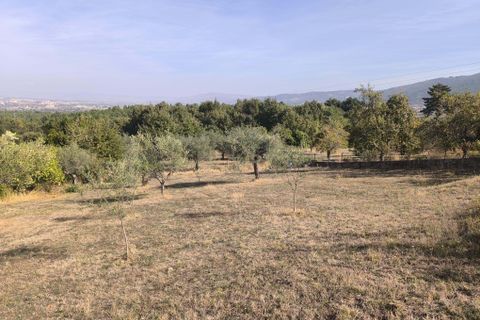 Helårsgrund i Chaves, Vila Real, Chaves - € 65.000 | Ref: C0533-00063 - foto 2