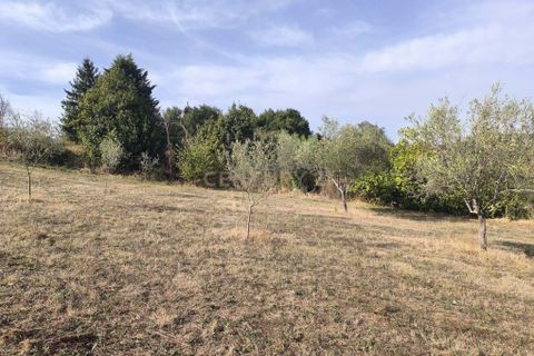 Helårsgrund i Chaves, Vila Real, Chaves - € 65.000 | Ref: C0533-00063 - foto 7