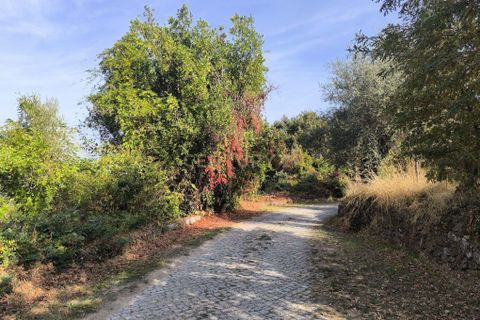 Helårsgrund i Chaves, Vila Real, Chaves - € 65.000 | Ref: C0533-00063 - foto 13