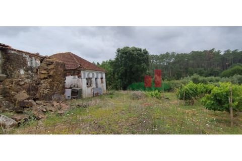 Villa i Rio Maior, Santarem, Rio Maior - € 55.000 | Ref: 19.26 - foto 6