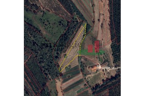 Villa i Rio Maior, Santarem, Rio Maior - € 55.000 | Ref: 19.26 - foto 3
