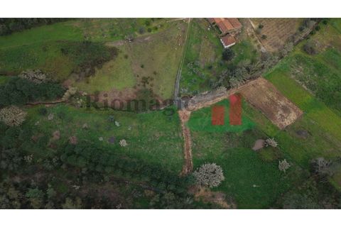 Villa i Rio Maior, Santarem, Rio Maior - € 55.000 | Ref: 19.26 - foto 12