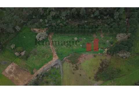 Villa i Rio Maior, Santarem, Rio Maior - € 55.000 | Ref: 19.26 - foto 13
