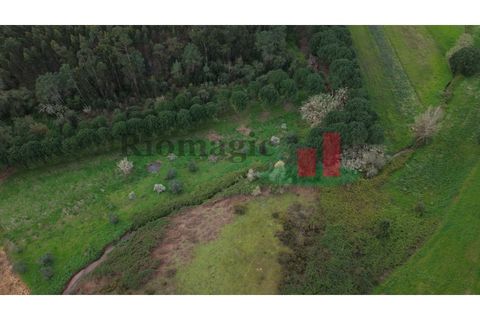 Villa i Rio Maior, Santarem, Rio Maior - € 55.000 | Ref: 19.26 - foto 14