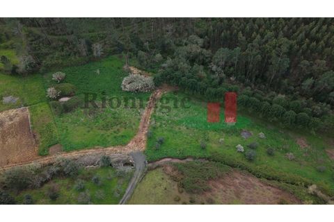 Villa i Rio Maior, Santarem, Rio Maior - € 55.000 | Ref: 19.26 - foto 15