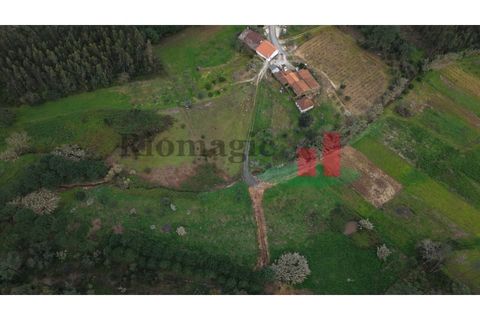 Villa i Rio Maior, Santarem, Rio Maior - € 55.000 | Ref: 19.26 - foto 16