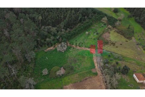 Villa i Rio Maior, Santarem, Rio Maior - € 55.000 | Ref: 19.26 - foto 17
