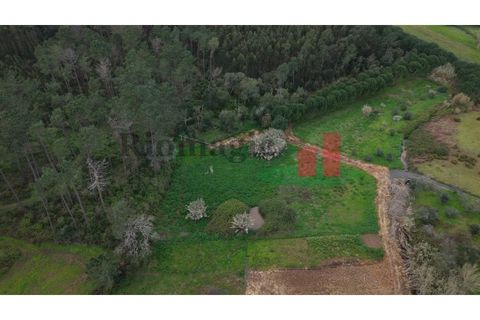 Villa i Rio Maior, Santarem, Rio Maior - € 55.000 | Ref: 19.26 - foto 18