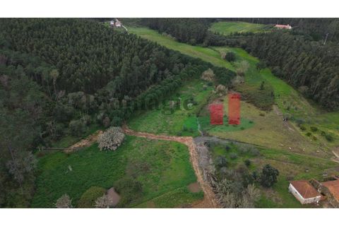 Villa i Rio Maior, Santarem, Rio Maior - € 55.000 | Ref: 19.26 - foto 19