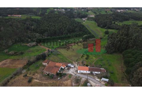 Villa i Rio Maior, Santarem, Rio Maior - € 55.000 | Ref: 19.26 - foto 20
