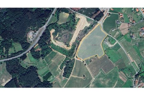Helårsgrund i Moncao, Viana do Castelo, Moncao - € 660.000 | Ref: MNC1733T - foto 1