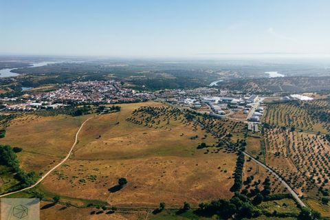 Terra a Avis, Portalegre, Avis - € 240.000 | Ref: Citage 211/24 - foto 2