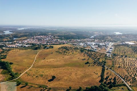 Terra a Avis, Portalegre, Avis - € 240.000 | Ref: Citage 211/24 - foto 3