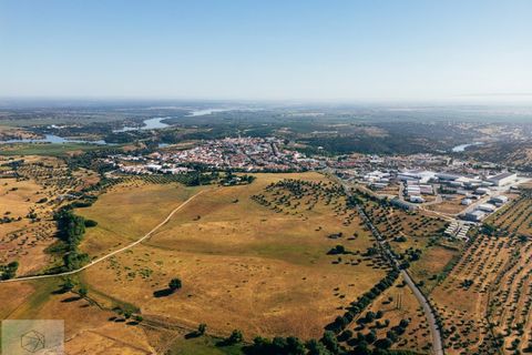 Terra a Avis, Portalegre, Avis - € 240.000 | Ref: Citage 211/24 - foto 4