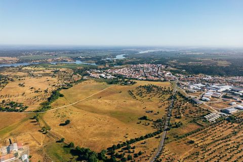 Terra a Avis, Portalegre, Avis - € 240.000 | Ref: Citage 211/24 - foto 5