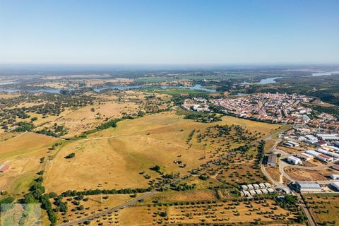 Terra a Avis, Portalegre, Avis - € 240.000 | Ref: Citage 211/24 - foto 6