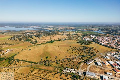 Terra a Avis, Portalegre, Avis - € 240.000 | Ref: Citage 211/24 - foto 7
