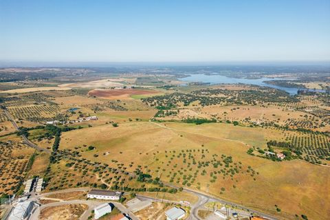 Terra a Avis, Portalegre, Avis - € 240.000 | Ref: Citage 211/24 - foto 9