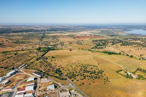 Terra a Avis, Portalegre, Avis - € 240.000 | Ref: Citage 211/24 - foto 10