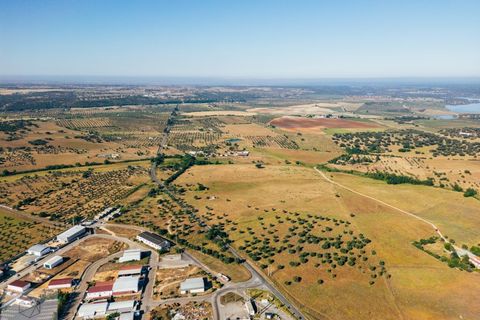 Terra a Avis, Portalegre, Avis - € 240.000 | Ref: Citage 211/24 - foto 11