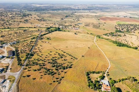 Terra a Avis, Portalegre, Avis - € 240.000 | Ref: Citage 211/24 - foto 12