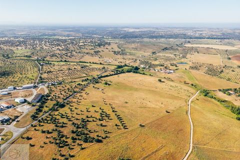 Terra a Avis, Portalegre, Avis - € 240.000 | Ref: Citage 211/24 - foto 13