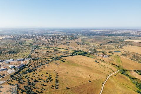 Terra a Avis, Portalegre, Avis - € 240.000 | Ref: Citage 211/24 - foto 14