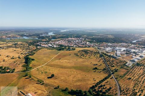 Terra a Avis, Portalegre, Avis - € 240.000 | Ref: Citage 211/24 - foto 16