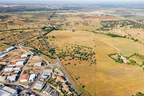 Terra a Avis, Portalegre, Avis - € 240.000 | Ref: Citage 211/24 - foto 17