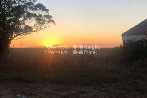 Landejendom i Odemira, Beja, Odemira - € 2.995.000 | Ref: PROP-34236 - foto 2
