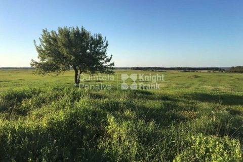 Landejendom i Odemira, Beja, Odemira - € 2.995.000 | Ref: PROP-34236 - foto 9