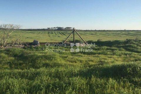 Landejendom i Odemira, Beja, Odemira - € 2.995.000 | Ref: PROP-34236 - foto 10