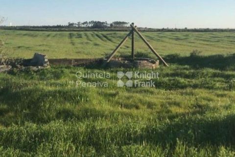 Landejendom i Odemira, Beja, Odemira - € 2.995.000 | Ref: PROP-34236 - foto 11