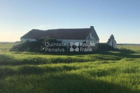 Landejendom i Odemira, Beja, Odemira - € 2.995.000 | Ref: PROP-34236 - foto 12