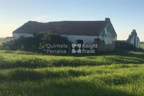 Landejendom i Odemira, Beja, Odemira - € 2.995.000 | Ref: PROP-34236 - foto 13