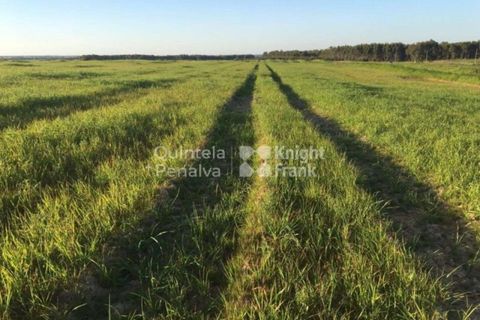 Landejendom i Odemira, Beja, Odemira - € 2.995.000 | Ref: PROP-34236 - foto 14